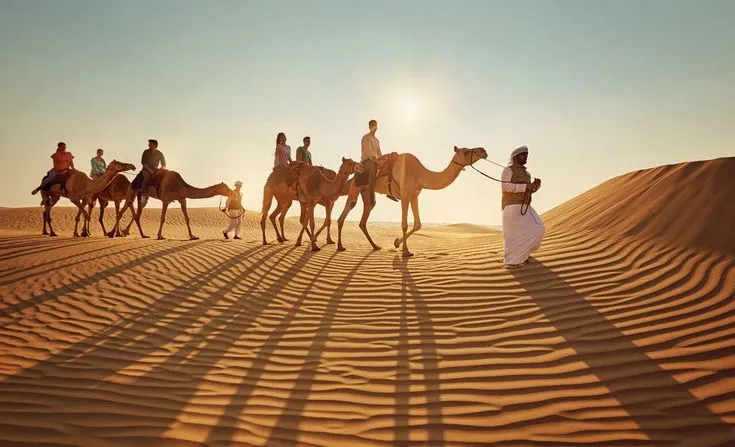 Dubai desert safari dune bashing
